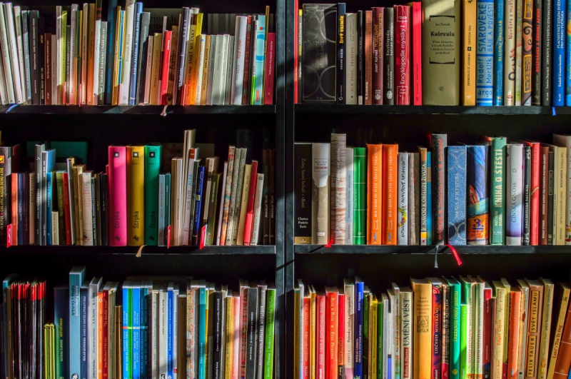 boutique-BELGENTIER-min_books_bookstore_book_reading_shop_writer_sale_books_read-822866
